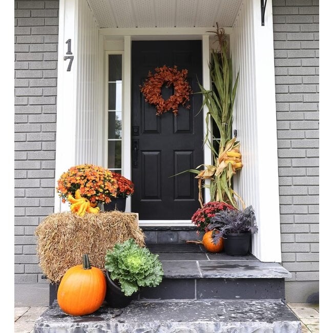 Deluxe Fall Door Package