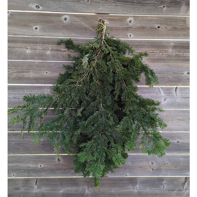 Evergreen Bough