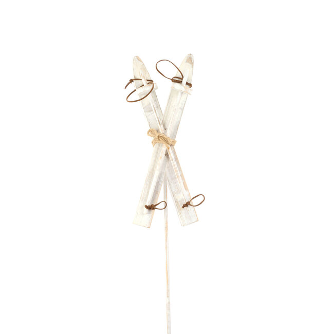 Accent Skis White Pic