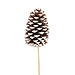 Jumbo White Tip Pinecones