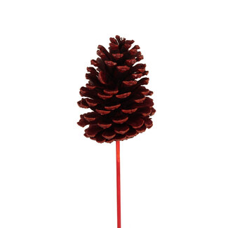 Large Burgundy Pinecone