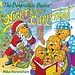 Berenstain Bears' The Night Before Christmas