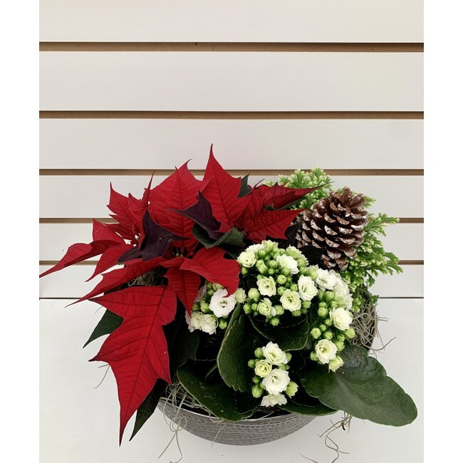 11" Glitz Bowl Planter