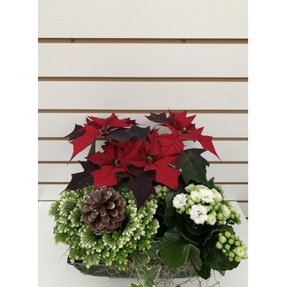 10" Vintage Square Planter