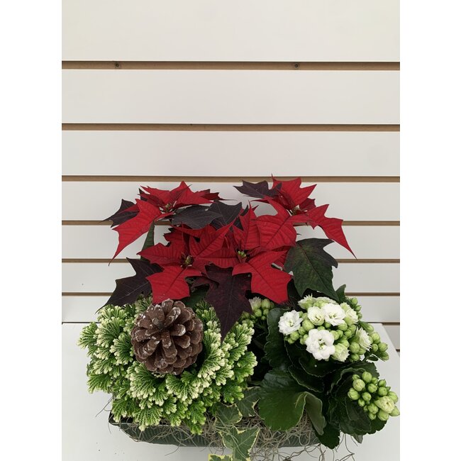 10" Vintage Square Planter