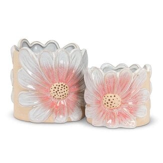 Pink Daisy Planter