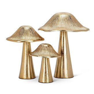 Gold Ribbed Mushroom