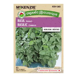 Herb Basil Sweet Organic