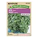 Herb Basil Sweet Organic