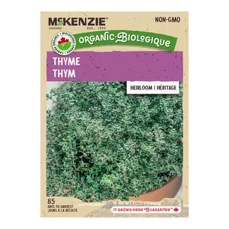Herb Thyme Organic