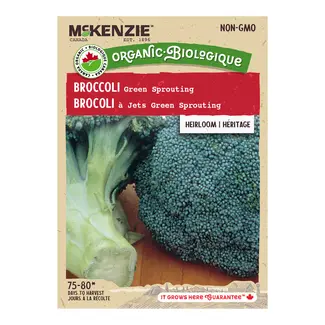 Broccoli Green Sprouting Organic