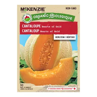 Cantaloupe Hearts of Gold Organic