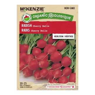 Radish Cherry Belle Organic