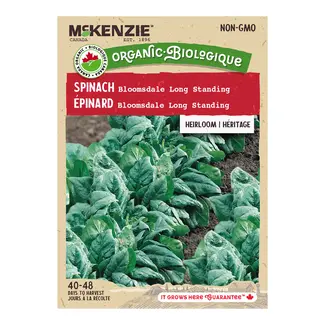 Spinach Bloomsdale Organic