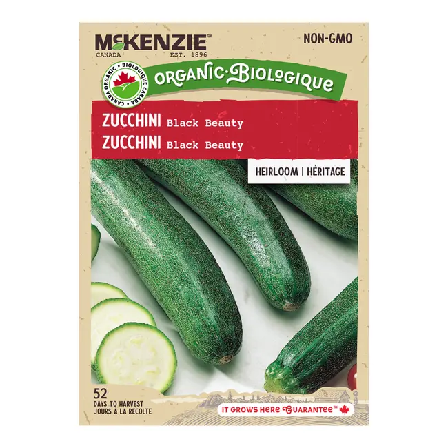 Zucchini Black Beauty Organic