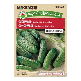 Cucumber National Pickling Organic