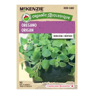 Herb Oregano Organic