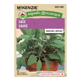 Herb Sage Organic