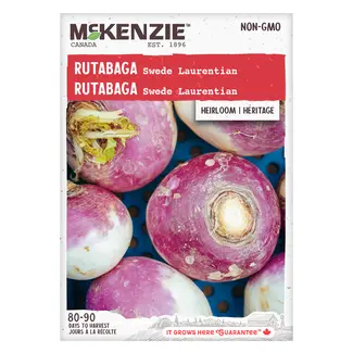 Rutabaga Swede Laurentian