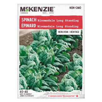 Spinach Long Standing Bloomsdale