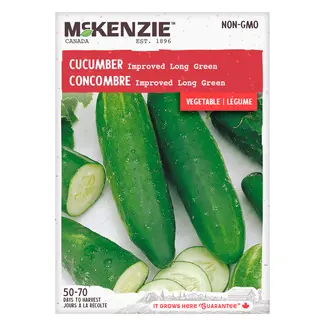 Cucumber Long Green
