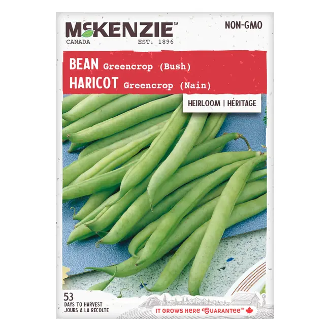 Bean Greencrop Bush