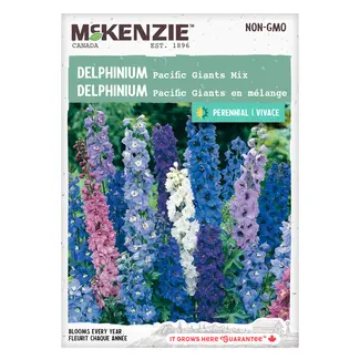 Delphinium Pacific Giants Mix