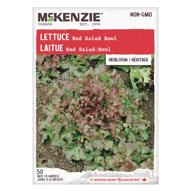 Lettuce Red Salad Bowl