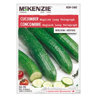 Cucumber English Long Telegraph
