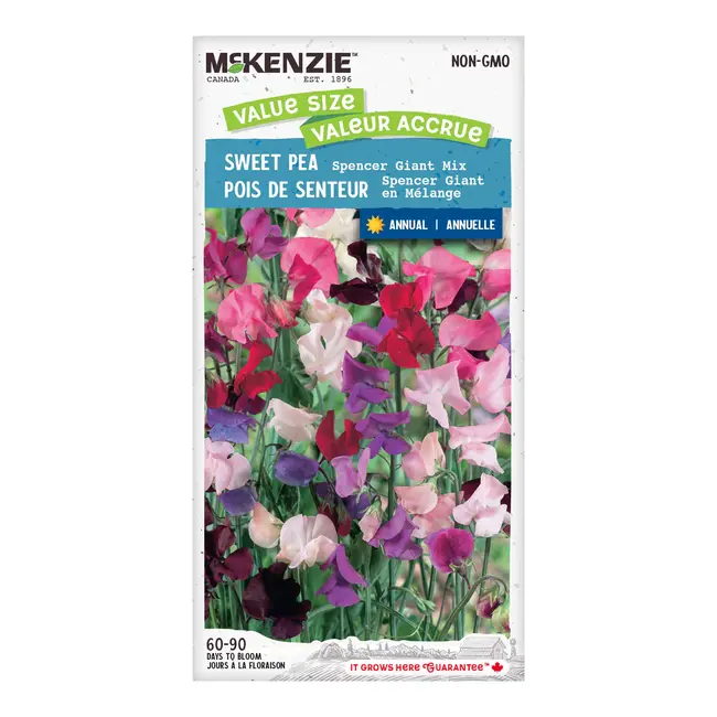 Sweet Pea Spencer Giant Mix