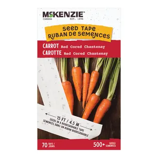 Carrot Red Cored Chantenay ST