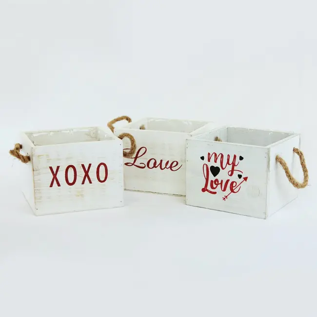 5" White Washed Love Wooden Containers Asst