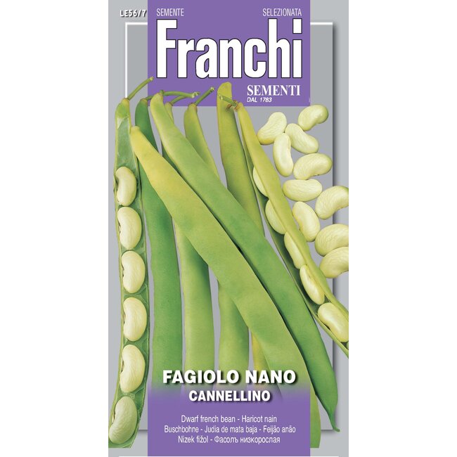 Dwarf French Bean - Cannellino