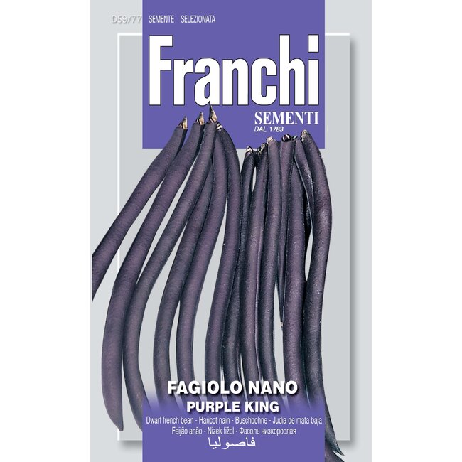 Dwarf French Bean - Purple King