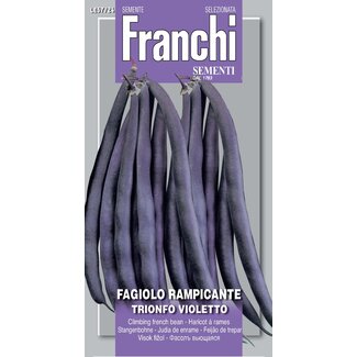Climbing French Bean - Trionfo Violetto