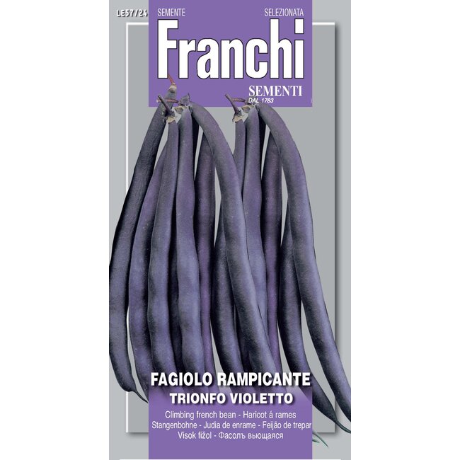 Climbing French Bean - Trionfo Violetto