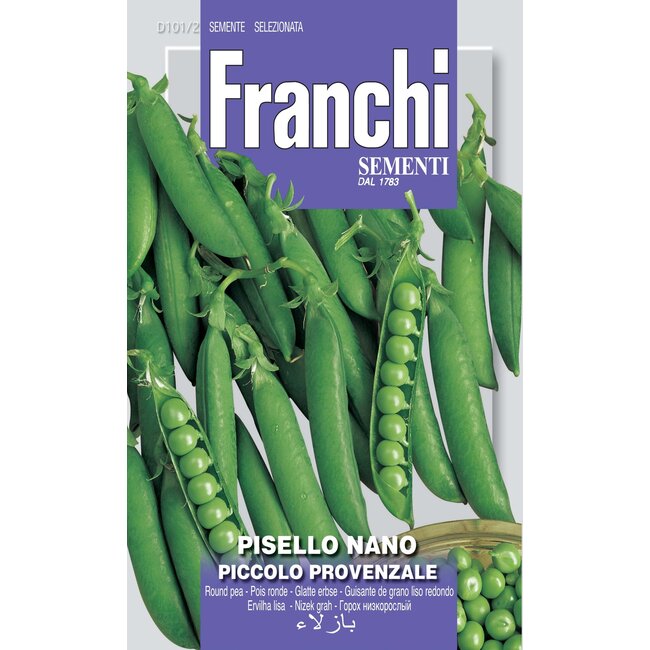 Round Pea - Piccolo Provenzale
