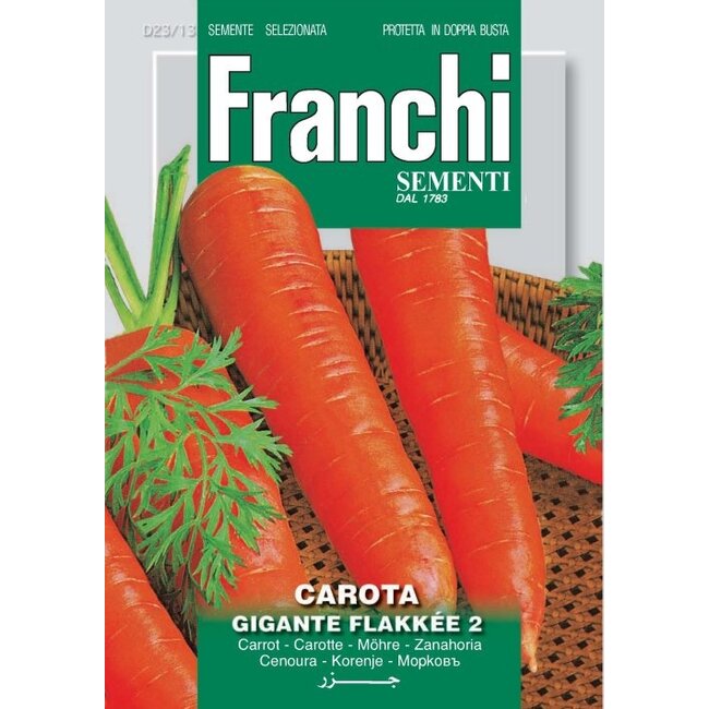Carrots - Gigante Flakkee 2