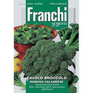 Sprouting Broccoli - Ramoso Calabrese