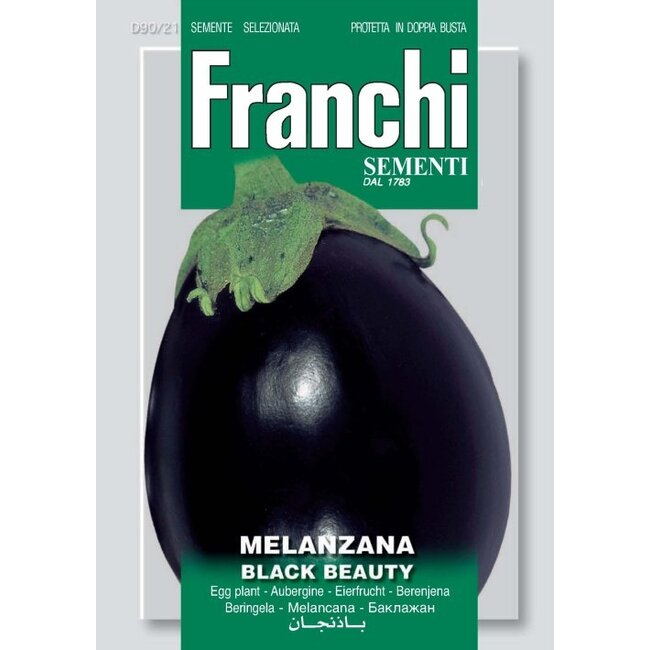 Eggplant - Black Beauty
