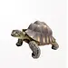 Small Turtle Statue