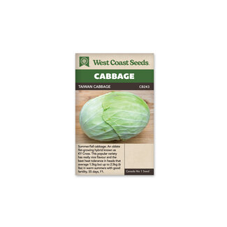 Cabbage - Taiwan Cabbage F1