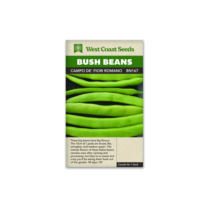 Bush Beans - Campo de' Fiori Romano