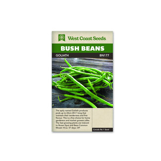 Bush Beans - Goliath