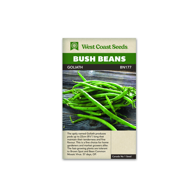 Bush Beans - Goliath