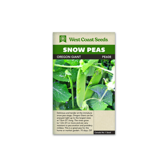Snow Peas - Oregon Giant