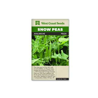 Snow Peas - Avalanche