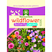 Wildflowers - Butterfly Blend