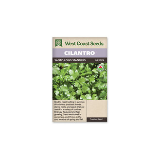 Cilantro - Santo Long Standing Certified Organic