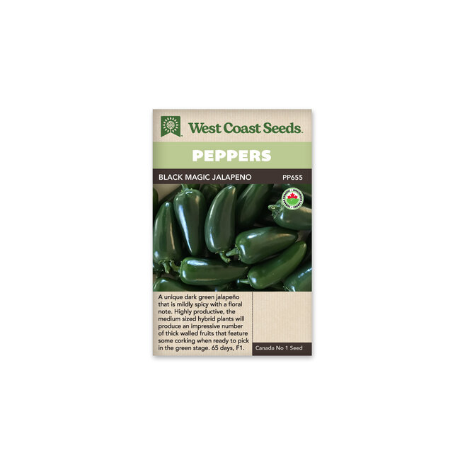 Peppers - Black Magic F1 Organic